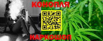 мдпв Гусев