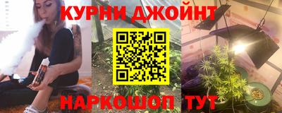 мдпв Гусев