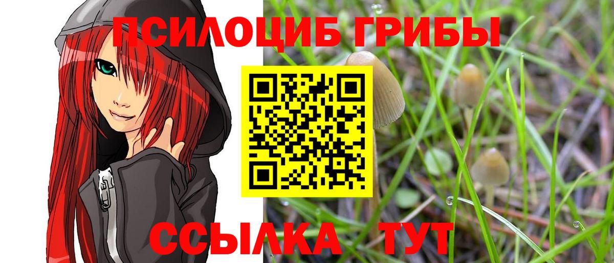 Миасс  Галлюциногенные грибы Psilocybine cubensis  Вход с VPN 
